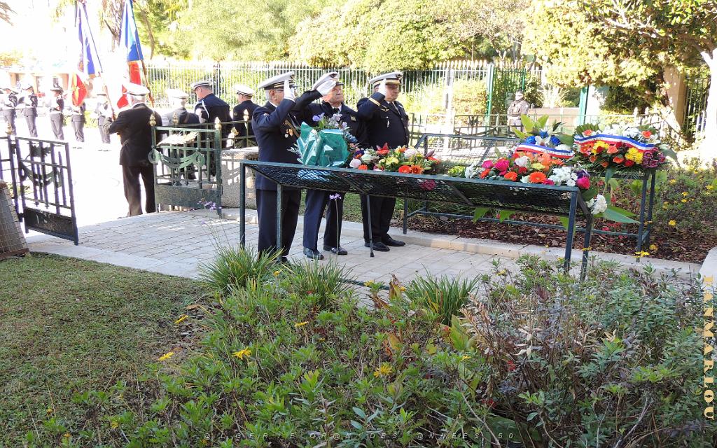 2025 12 05 TOULON HOMMAGE AUX MORTS POUR LA FRANCE EN AFN (95).jpg